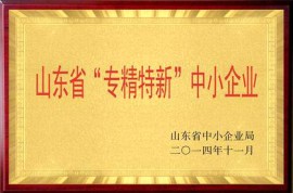 荣誉资质