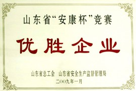 荣誉资质